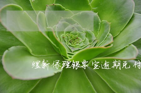 煜新保理银票宝逾期兑付公告