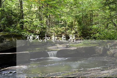 煤气扣款逾期 煤气扣款逾期