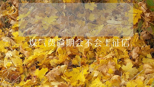 煤气费逾期会不会上征信 煤气费逾期会不会上征信