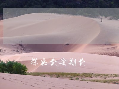 煤气费逾期费 煤气费逾期费