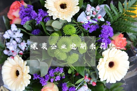 煤炭企业逾期未罚款 煤炭企业逾期未罚款