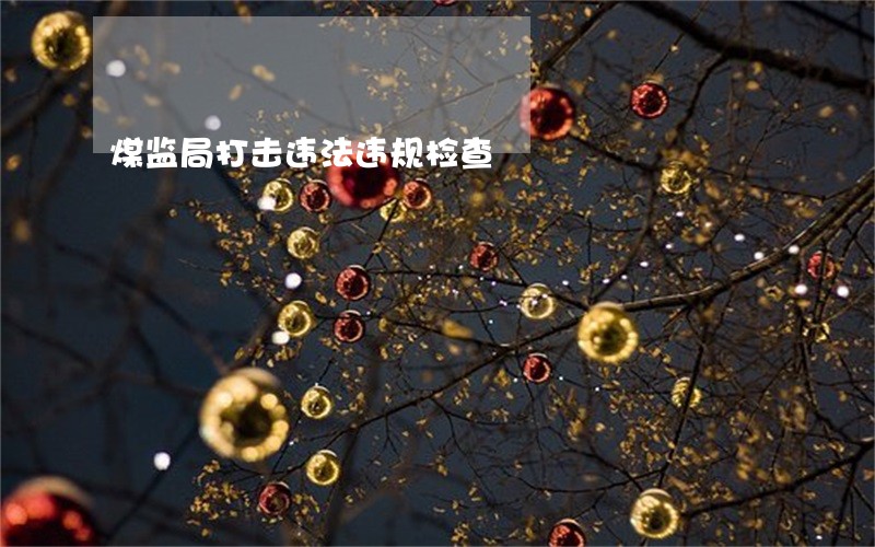 煤监局打击违法违规检查 煤监局打击违法违规检查