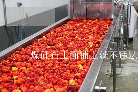 煤矸石上面铺土就不违法了吗 煤矸石上面铺土就不违法了吗