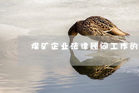 煤矿企业法律顾问工作的几点思考 煤矿企业法律顾问工作的几点思考