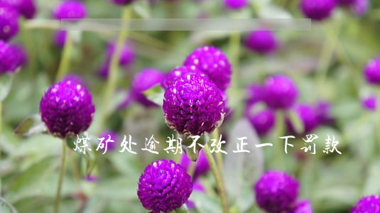 煤矿处逾期不改正一下罚款 煤矿处逾期不改正一下罚款