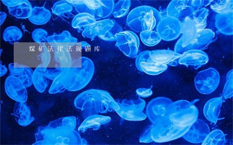 煤矿法律法规题库