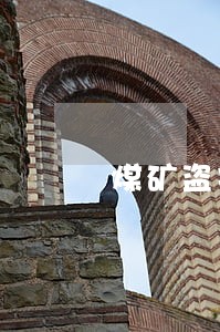 煤矿盗窃电缆的刑法 煤矿盗窃电缆的刑法