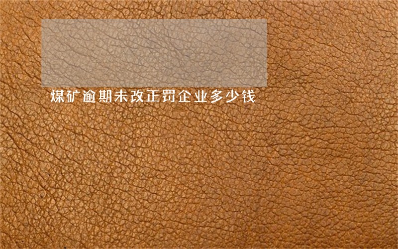 煤矿逾期未改正罚企业多少钱