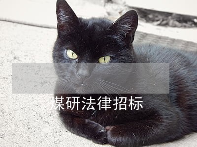 煤研法律招标