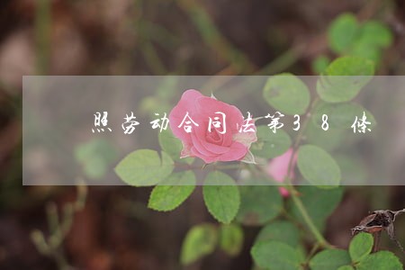 照劳动合同法第38条 照劳动合同法第38条