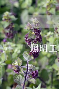 照明工程公司排名 照明工程公司排名