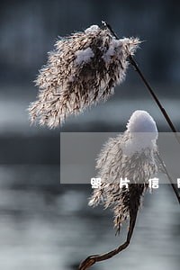 照片信用卡逾期可以申请停息吗 照片信用卡逾期可以申请停息吗