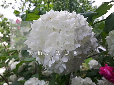 照相方法规则 照相方法规则