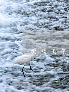 煽情负债逾期励志视频 煽情负债逾期励志视频