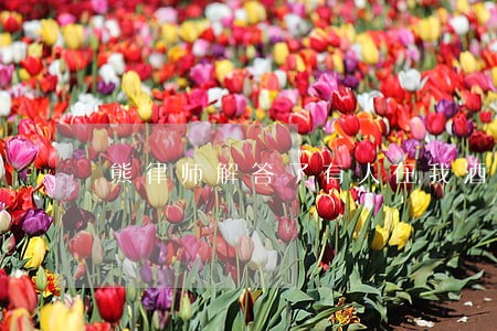 熊律师解答了有人在我酒店喝醉酒 熊律师解答了有人在我酒店喝醉酒