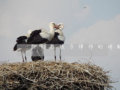 熊爸熊孩子律师的讲解 熊爸熊孩子律师的讲解