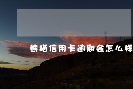 熊猫信用卡逾期会怎么样 熊猫信用卡逾期会怎么样