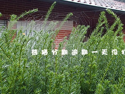 熊猫分期逾期一天没打电话 熊猫分期逾期一天没打电话