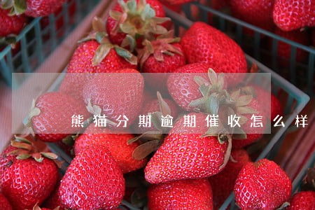熊猫分期逾期催收怎么样 熊猫分期逾期催收怎么样