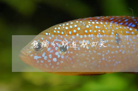 熊猫分期逾期四天 熊猫分期逾期四天