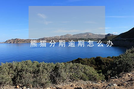 熊猫分期逾期怎么办 熊猫分期逾期怎么办