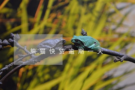 熊猫快贷逾期一天 熊猫快贷逾期一天