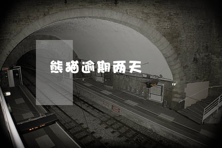 熊猫逾期两天 熊猫逾期两天