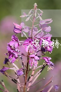 熔钱铸铜是否违法 熔钱铸铜是否违法