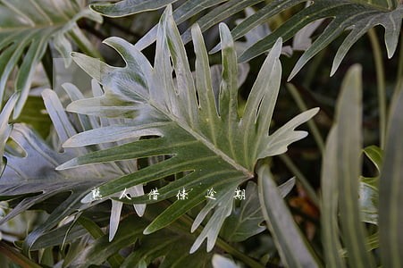 熟人借条逾期 熟人借条逾期