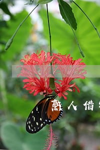 熟人借钱逾期率 熟人借钱逾期率