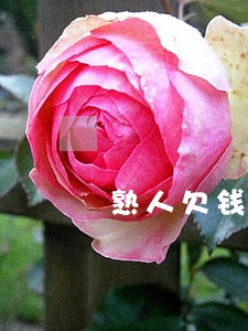 熟人欠钱怎么找法律援助 熟人欠钱怎么找法律援助