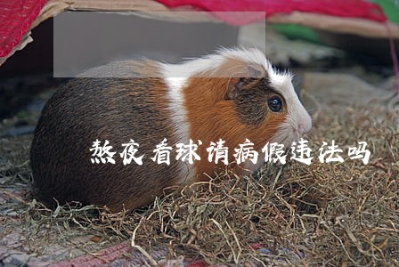 熬夜看球请病假违法吗 熬夜看球请病假违法吗