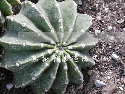 熬轮胎油违法吗 熬轮胎油违法吗