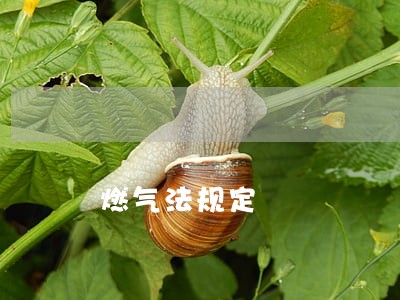 燃气法规定 燃气法规定