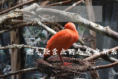 燃气经营点的气瓶逾期未检案例