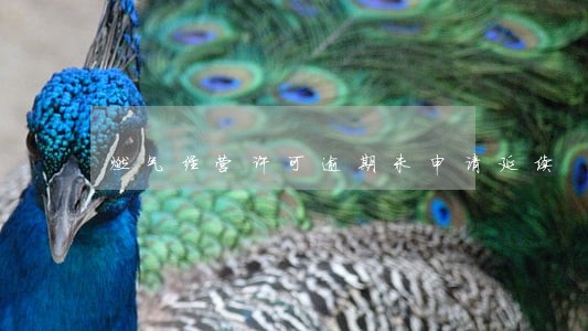 燃气经营许可逾期未申请延续