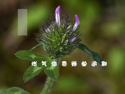 燃气缴费账单逾期