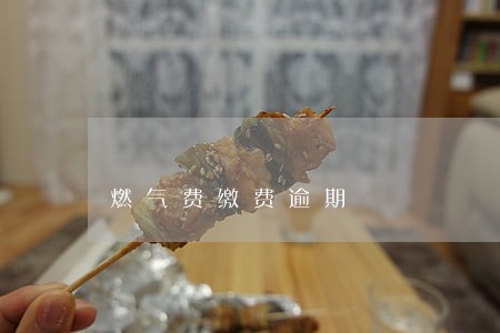 燃气费缴费逾期 燃气费缴费逾期