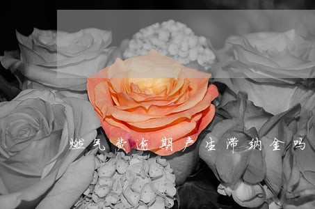 燃气费逾期产生滞纳金吗 燃气费逾期产生滞纳金吗
