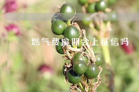 燃气费逾期会上征信吗 燃气费逾期会上征信吗