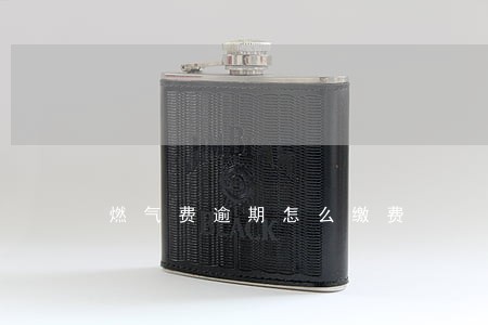 燃气费逾期怎么缴费 燃气费逾期怎么缴费