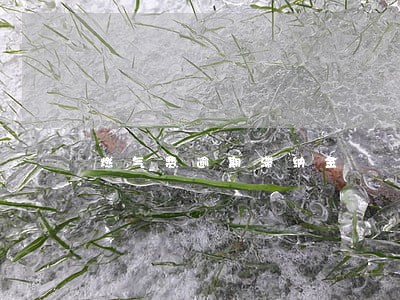 燃气费逾期滞纳金 燃气费逾期滞纳金