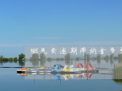 燃气费逾期滞纳金多少钱 燃气费逾期滞纳金多少钱