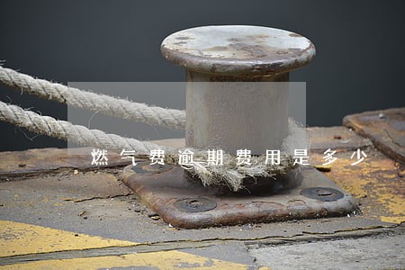 燃气费逾期费用是多少 燃气费逾期费用是多少