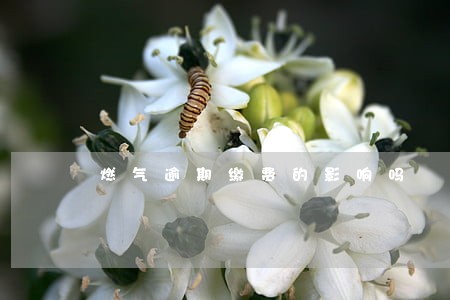 燃气逾期缴费的影响吗 燃气逾期缴费的影响吗
