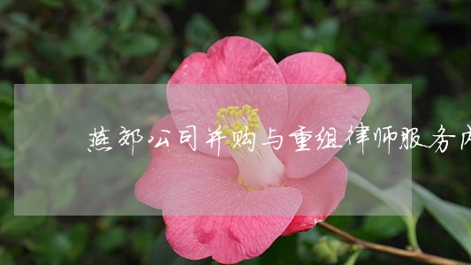 燕郊公司并购与重组律师服务内容 燕郊公司并购与重组律师服务内容