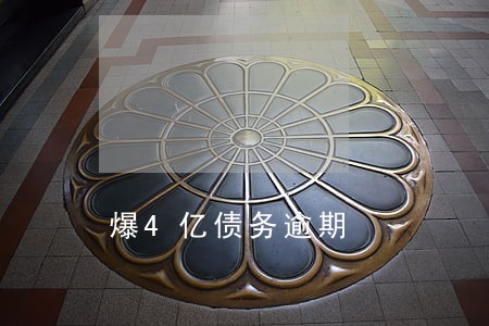 爆4亿债务逾期 爆4亿债务逾期