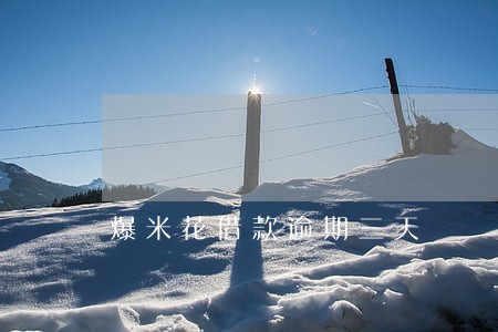 爆米花借款逾期三天