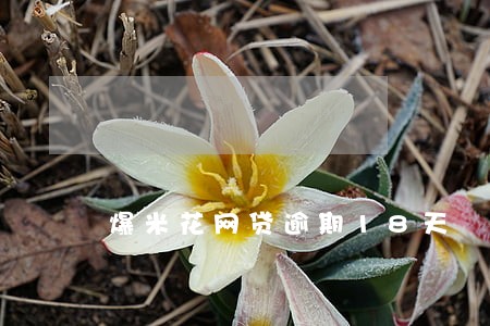 爆米花网贷逾期18天 爆米花网贷逾期18天