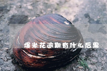 爆米花逾期有什么后果 爆米花逾期有什么后果